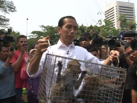 Jakarta's masked monkeys rediscover freedom (PHOTO and VIDEO)
