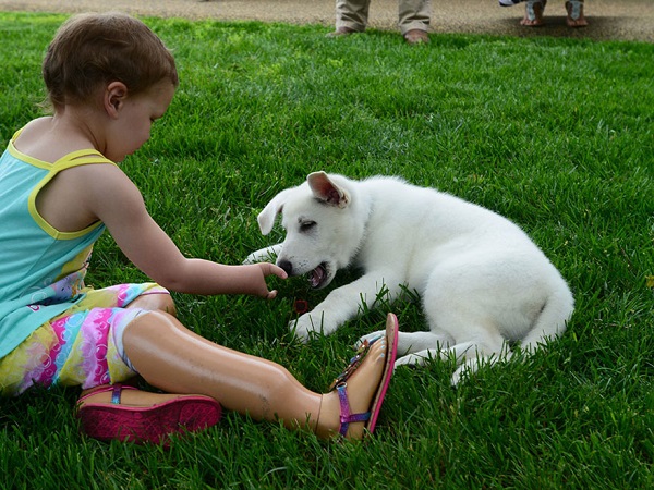 La niña sin piernas y el perro sin patas: una conmovedora amistad (FOTO)