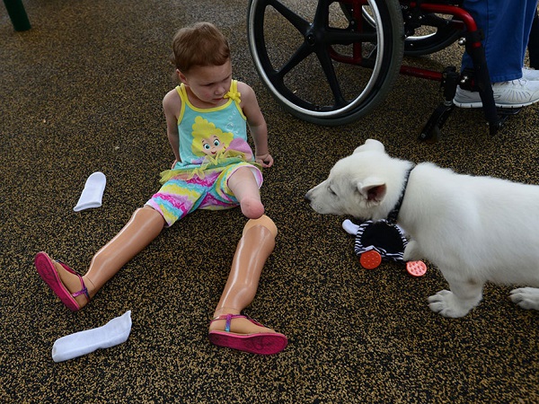 La niña sin piernas y el perro sin patas: una conmovedora amistad (FOTO)