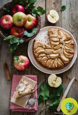 Wholemeal apple pie with flax seeds