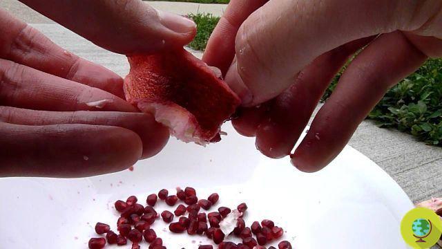 10 truques para limpar e cortar frutas e legumes rapidamente (VÍDEO)