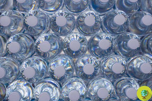 Each of us eats 50 particles of plastic a year, and it's the fault of the water bottles