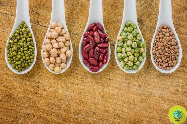 Beans, lentils, peas: tricks to counter the side effect of swelling, without giving up healthy legumes