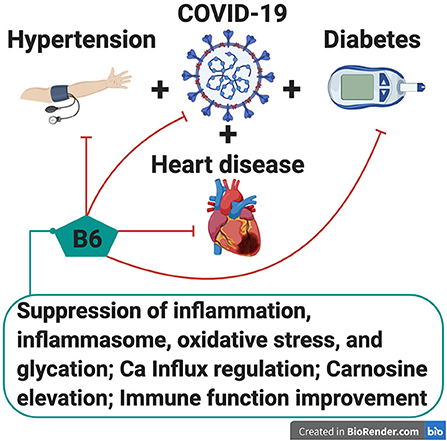 Non seulement la vitamine D, B6 (pyridoxine) pourrait également prévenir les formes les plus graves de Covid-19