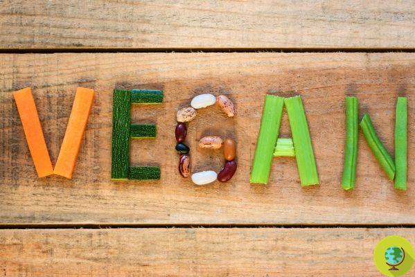 Como reconhecer alimentos aparentemente veganos que na verdade não são