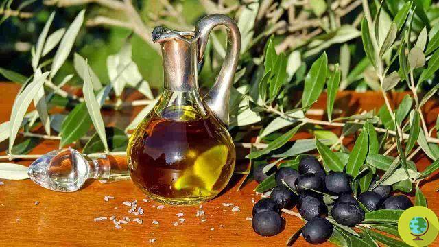 Breast cancer: the risk is reduced with extra virgin olive oil