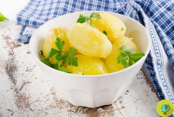 ¿Se pueden refrigerar las patatas cocidas o son tóxicas?
