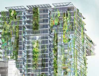 Jardins Verticais: Patrick Blanc trabalhando para construir o maior do mundo em Sydney