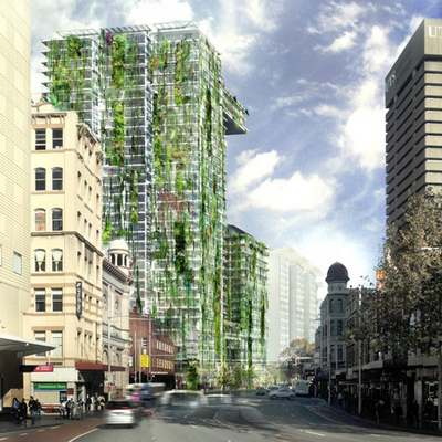 Vertical Gardens: Patrick Blanc at work to build the largest in the world in Sydney