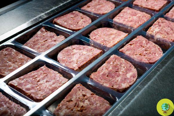 Carnes caducadas con gusanos, salmonella y E. coli: inicia proceso histórico para el proveedor de Auchan, Carrefour, Mc Donald's, a 10 años del escándalo