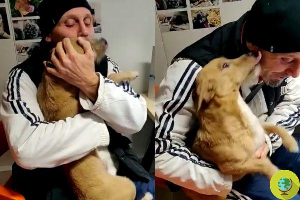 Doggie reunites with his family after three years: the video of his joy is moving