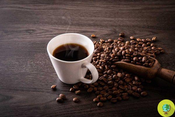 If you drink too much coffee a day you may have a hard time absorbing vitamin D, according to this study