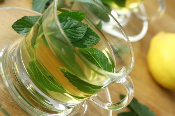 Mint: properties, benefits and uses