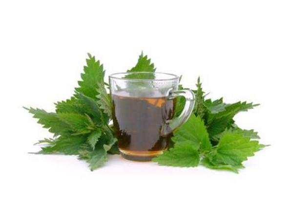 Detox: o chá de ervas purificante perfeito