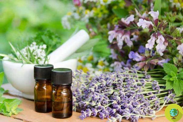 Can essential oils make men's breasts grow? Here are the 