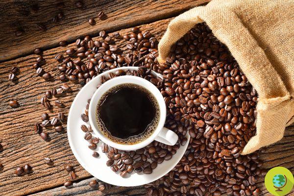 The coffee? With 5 cups a day you save yourself from premature death
