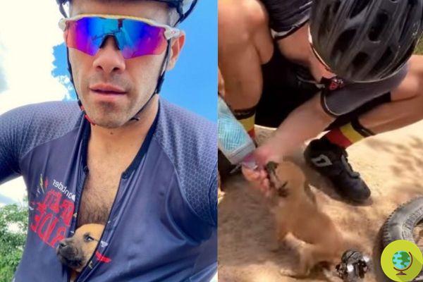 Um ciclista encontra cachorrinhos abandonados e os resgata em sua camisa