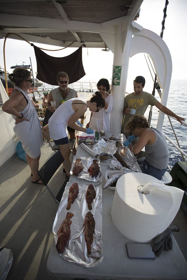 Microplásticos em peixes e animais do Mar Tirreno: a descoberta chocante do Greenpeace