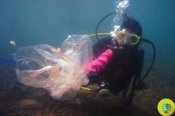 Thaaragai, de apenas 8 anos, mergulha em águas indianas para limpá-las de plástico e salvar nossos oceanos