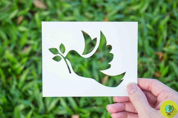 Palm Sunday: easy and original DIY crafts to explain the importance of peace to children