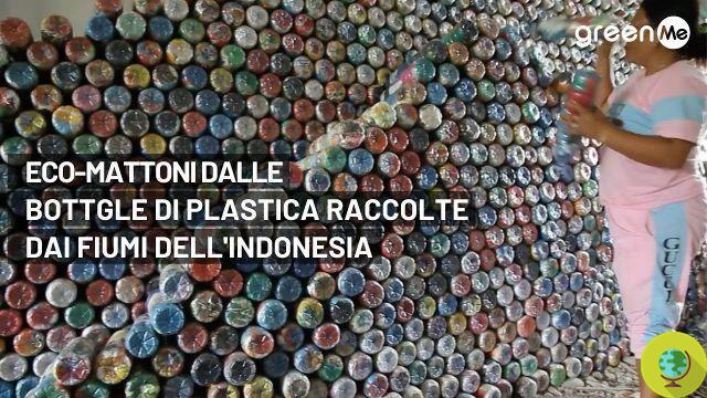Eco-tijolos de garrafas plásticas coletadas em rios da Indonésia (VÍDEO)