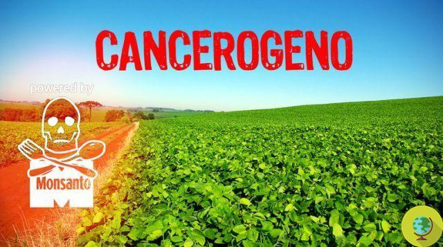 Monsanto takes the IARC to court: glyphosate is not carcinogenic
