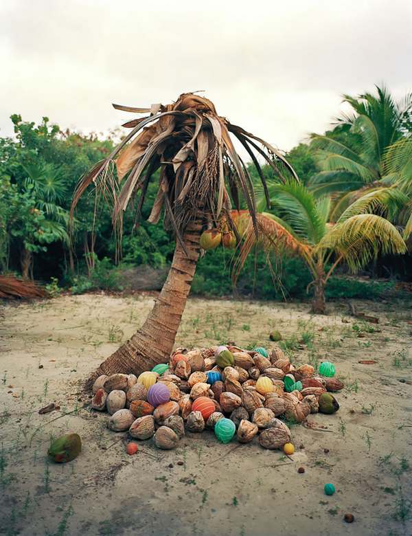 Trash Art: lixo que chega ao México vindo do mar se transforma em obras maravilhosas (FOTO)