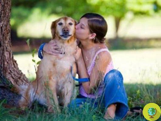 Los perros son celosos: el estudio lo confirma