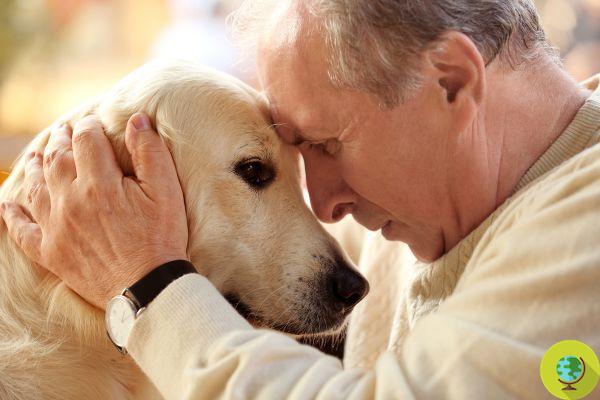 Cães durante o confinamento são nossos ansiolíticos naturais e nos ajudam a superar a depressão