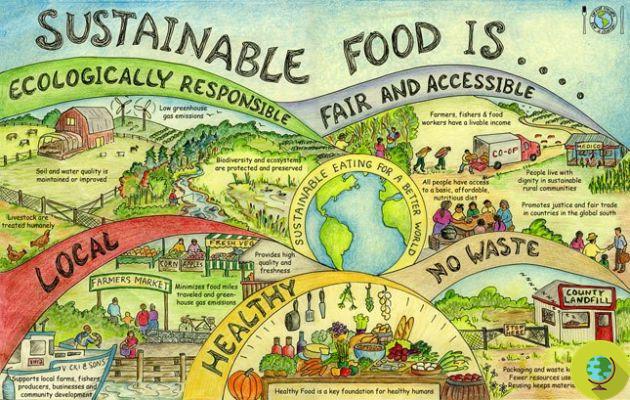 La comida globalizada es cada vez menos segura. La alarma de la OMS (#savefood)