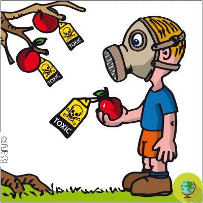 Crianças hiperativas: e se fosse culpa dos pesticidas e inseticidas?