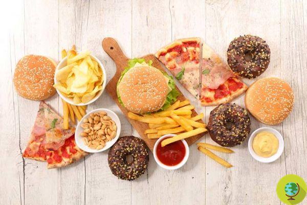 Junk food and cancer: possible correlations in a new study
