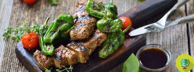 Vegetarian barbecue: recipes for a truly green barbecue