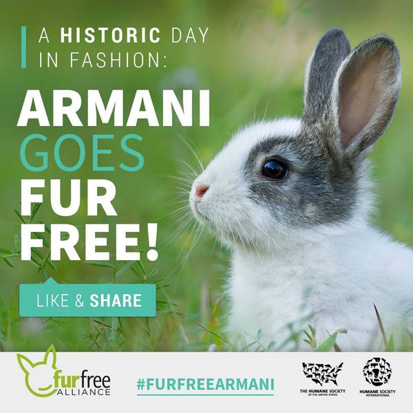 Armani diz adeus às peles: as novas coleções serão 100% livres de peles