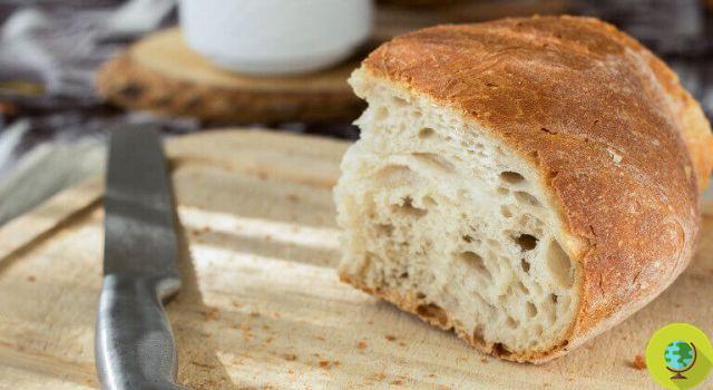 Faire du pain à la maison: les erreurs à éviter et les problèmes les plus courants