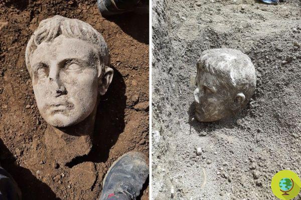 Surpresa descoberta arqueológica, em Isernia aparece uma antiga cabeça de mármore do imperador Augusto