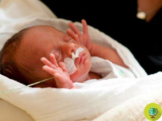 Carcinogenic substances in plastic medical devices, at risk for premature babies