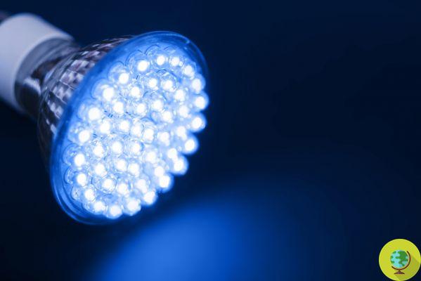 ReOne by Re +: a lâmpada LED de design ecológico para todos os ambientes