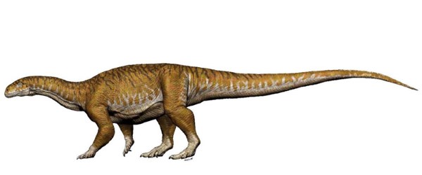Fóssil do primeiro dinossauro gigante descoberto: tem 200 milhões de anos e fará a história reescrever