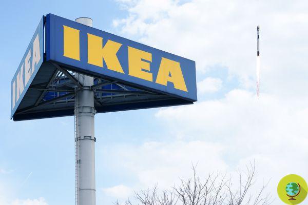 Ikea : atteindra l'indépendance énergétique d'ici 2020
