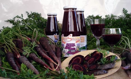 Purple carrot: from Abruzzo the super carrot rich in anti-aging polyphenols