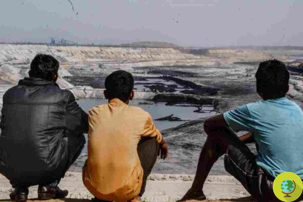 Enquanto isso, a Índia dá luz verde à expansão das minas de carvão nas florestas indígenas de Hasdeo