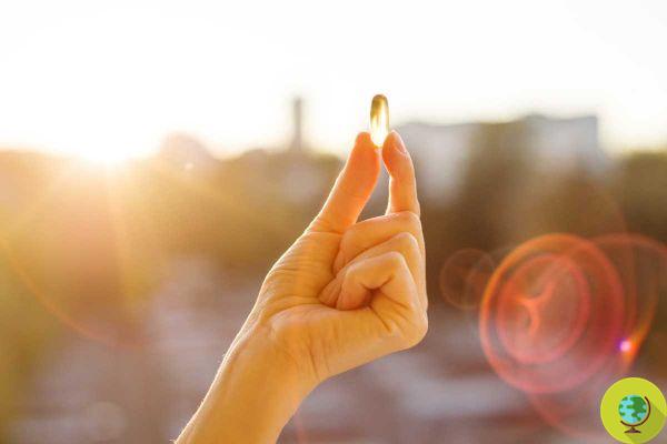 Vitamin D2: what's the difference with vitamin D3 and which one should you take?