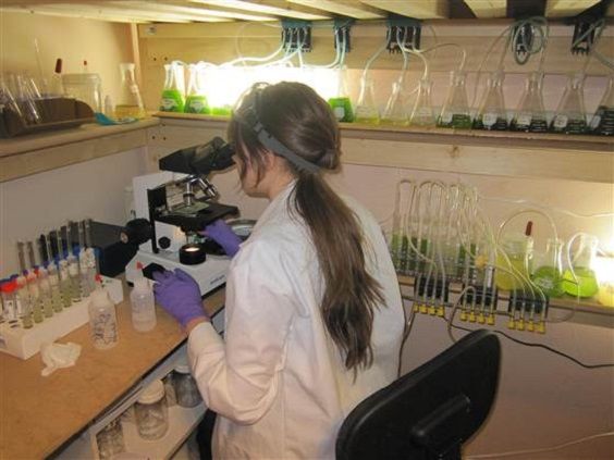 Sara Volz : la fille qui faisait pousser des algues sous le lit pour fabriquer des biocarburants
