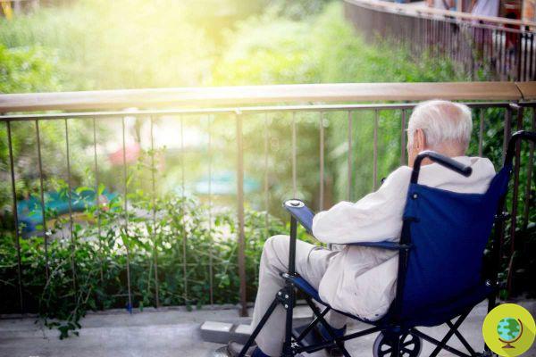 Alzheimer: 42 genes descubiertos que ayudan a calcular el riesgo de enfermarse en el estudio genético más grande sobre la demencia