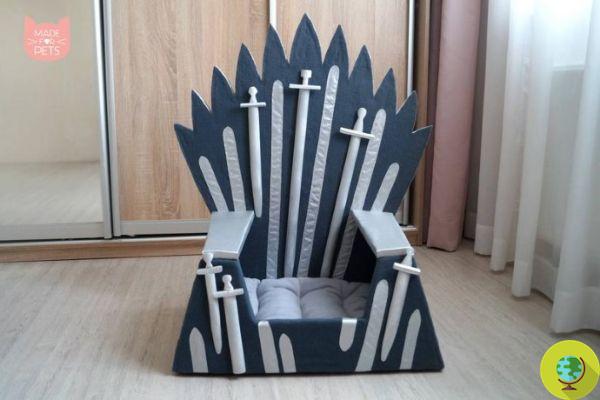 Game of Thrones : le lit pour chien et chat inspiré du trône de fer