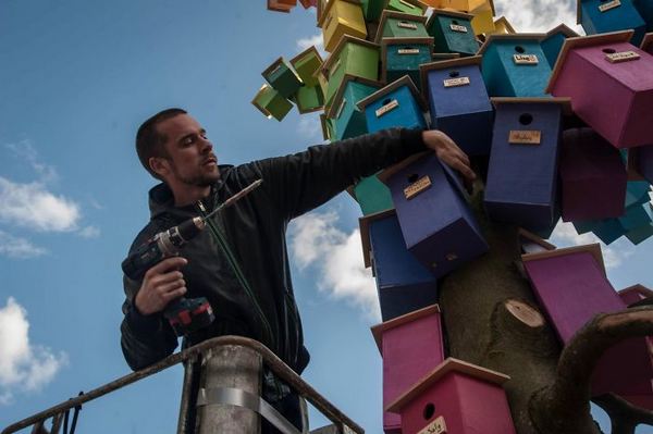The artist who built 3500 birdhouses in cities around the world (PHOTO)