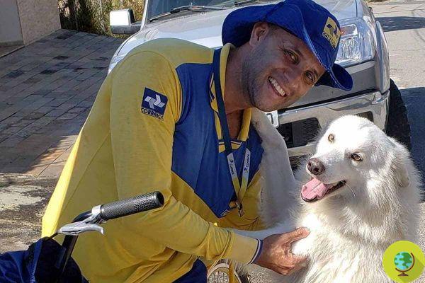 Passionate about animals, the postman takes selfies with all the cats and dogs he meets along the way
