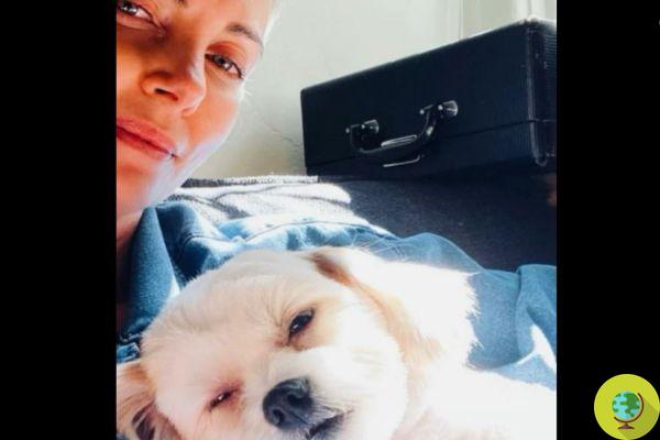 Charlize Theron apela a sus fans: “Adopten mascotas. Si pudiera salvarlos a todos, lo haría