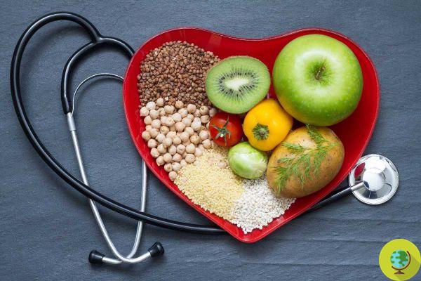 High Cholesterol: The plant-based diet was found to be the best to significantly reduce it in a few weeks